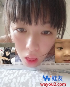 �ݳ�����